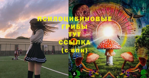 тгк Алексин