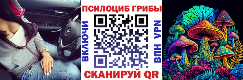 Псилоцибиновые грибы Magic Shrooms  KRAKEN маркетплейс  Тамбов  магазин   