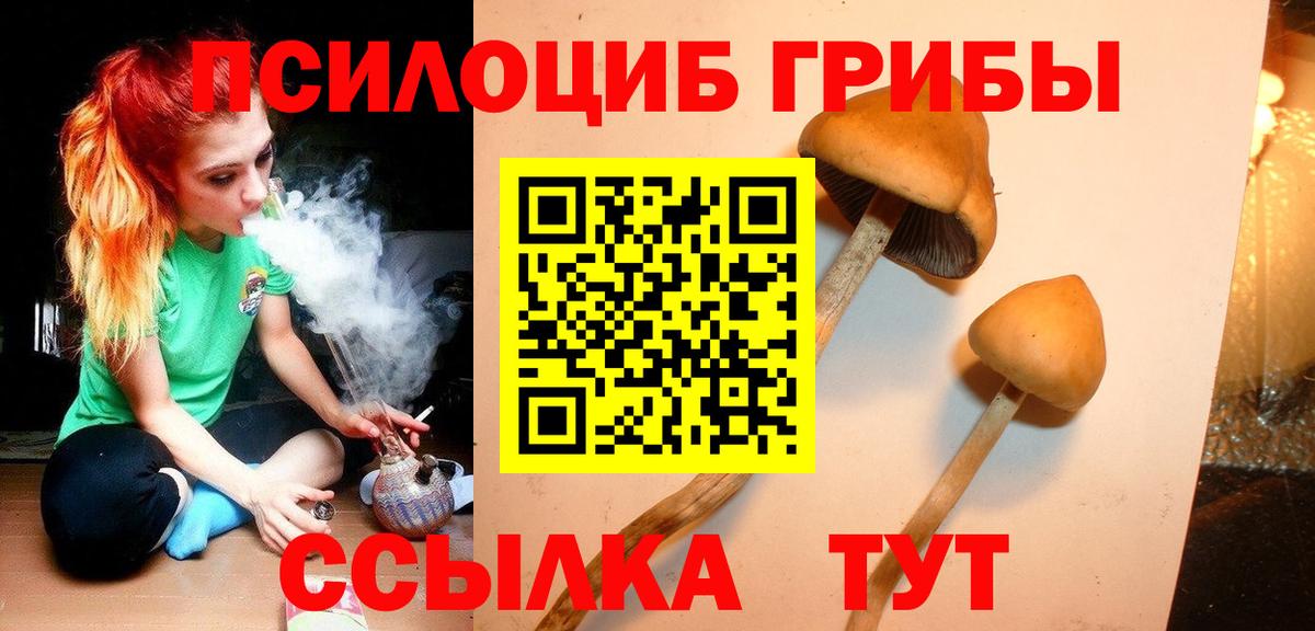 Тамбов  Галлюциногенные грибы прущие грибы  Вход с VPN  Галлюциногенные грибы прущие грибы 
