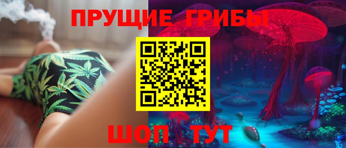 Галлюциногенные грибы GOLDEN TEACHER Тамбов